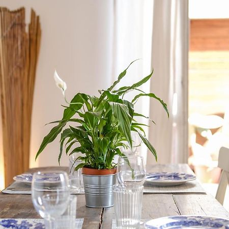 Spacious Apartment With Big Terrace At Colosseum Roma Exterior foto
